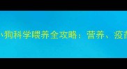 新手妈妈必看1月龄小狗科学喂养全攻略营养疫苗行为习惯养成指南