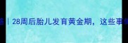 孕期稳定期全攻略28周后胎儿发育黄金期这些事做对宝宝更健康