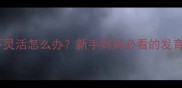 三个月宝宝胳膊不灵活怎么办新手妈妈必看的发育评估与干预指南