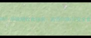 孕妇能吃泡面吗孕晚期饮食指南营养均衡与安全食用的科学建议
