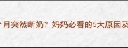 哺乳期三个月突然断奶妈妈必看的5大原因及应对措施
