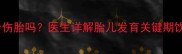 孕期第一个月喝酒会伤胎吗医生详解胎儿发育关键期饮酒风险及补救措施