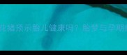 孕妇梦见花猪预示胎儿健康吗胎梦与孕期护理指南