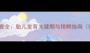 三个月B超检查全胎儿发育关键期与排畸指南附医生建议