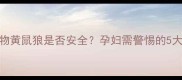 孕期接触野生动物黄鼠狼是否安全孕妇需警惕的5大风险及应对措施