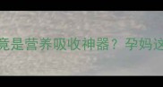 孕期必看糊饭竟是营养吸收神器孕妈这样吃宝宝更聪明