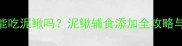 6个月宝宝能吃泥鳅吗泥鳅辅食添加全攻略与营养指南
