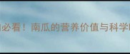 五个月宝宝辅食添加必看南瓜的营养价值与科学喂养指南附食谱