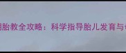 4个月孕期胎教全攻略科学指导胎儿发育与母体健康