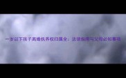 一岁以下孩子离婚抚养权归属全法律指南与父母必知事项