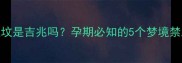 孕妇梦见和家人上坟是吉兆吗孕期必知的5个梦境禁忌与宝宝健康关系
