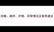 12个月宝宝乳牙全攻略顺序护理异常情况及营养建议附出牙期必看清单