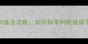 3-6岁宝宝如厕训练全攻略如何科学判断戒尿不湿最佳时间