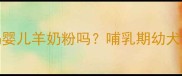 狗狗能喝婴儿羊奶粉吗哺乳期幼犬营养指南