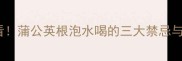 孕期女性必看蒲公英根泡水喝的三大禁忌与五大益处全