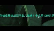 孕期梦境孕妇被蜜蜂追赶预示胎儿健康专家解读蜂类梦境的吉凶寓意