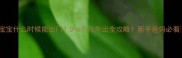 宝宝什么时候能出门0-6个月外出全攻略新手爸妈必看
