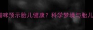 孕妇梦到小猫咪预示胎儿健康科学梦境与胎儿发育的关联