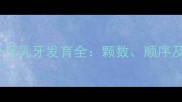 宝宝十一个月乳牙发育全颗数顺序及护理指南