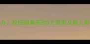 孕妇白细胞升高怎么办粒细胞偏高的5大原因及胎儿影响全附应对指南