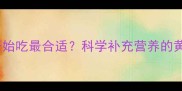 孕妇奶粉什么时候开始吃最合适科学补充营养的黄金期与注意事项全