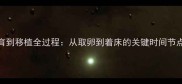 试管婴儿培育到移植全过程从取卵到着床的关键时间节点与科学建议