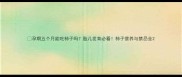 孕期五个月能吃柿子吗胎儿发育必看柿子营养与禁忌全