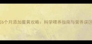 宝宝6个月添加蛋黄攻略科学喂养指南与营养误区全