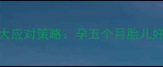 孕中期胎动频繁的7大应对策略孕五个月胎儿好动期科学护理指南