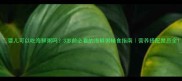 婴儿可以吃海鲜粥吗3岁前必看的海鲜粥辅食指南营养搭配禁忌全