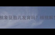 孕妇梦见核桃的寓意核桃象征胎儿发育吗核桃解梦的科学依据与胎教建议