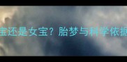 孕妇梦到红薯是男宝还是女宝胎梦与科学依据全附胎教指南