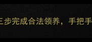 领养流程全三步完成合法领养手把手教你圆梦家庭