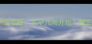 孕期胎心监护全攻略从孕几周开始附正确操作指南