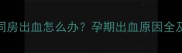 怀孕4个月同房出血怎么办孕期出血原因全及保胎指南