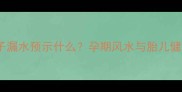 孕妇梦见房子漏水预示什么孕期风水与胎儿健康的关系全