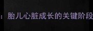 孕期心脏发育全胎儿心脏成长的关键阶段与孕妈必知事项