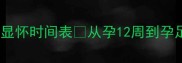 超全孕肚显怀时间表从孕12周到孕足月全记录