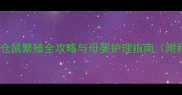 新手父母必看仓鼠繁殖全攻略与母婴护理指南附科学喂养要点