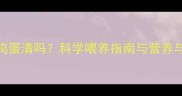 九个月宝宝能吃鸡蛋清吗科学喂养指南与营养与安全注意事项全