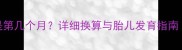 怀孕28周加2天是第几个月详细换算与胎儿发育指南附产检建议