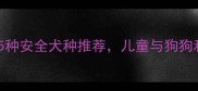 母婴家庭必看5种安全犬种推荐儿童与狗狗和谐共处全攻略