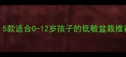 宝宝房安全攻略5款适合0-12岁孩子的低敏盆栽推荐附养护指南