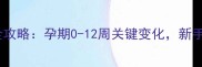 胎儿发育全攻略孕期0-12周关键变化新手爸妈必看