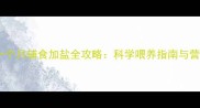宝宝十一个月辅食加盐全攻略科学喂养指南与营养误区