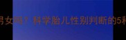 怀孕6个月能看出男女吗科学胎儿性别判断的5种方法及注意事项