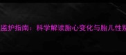 孕期胎心监护指南科学解读胎心变化与胎儿性别关联