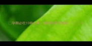 孕期必吃10种水果准妈妈营养指南