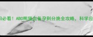 熊猫血孕妇必看ABO熊猫血备孕到分娩全攻略科学应对特殊血型