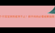 四个月宝宝突然夜哭不止新手妈妈必看破解指南